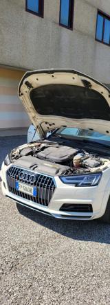 AUDI A4 allroad 2.0 TDI 190 CV Business Evolution
