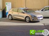 FORD Focus 1.5 EcoBlue 120 CV automatico 5p. Business Co-Pilo