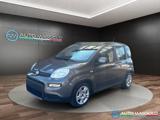 FIAT Panda 1.0 FireFly S&S Hybrid City Life PREZZO REALE