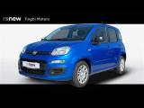 FIAT Panda 1.0 FireFly Hybrid 70cv Icon S&S 5p.ti