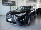 TOYOTA RAV 4 Hybrid 4x2 Business 36 mesi di garanzia