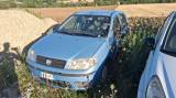 FIAT Punto 1.2 5 porte Active Natural Power OK NEOPATETNTANO