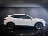 CUPRA Formentor 2.0 TDI 150CV 4Drive DSG #VARI COLORI