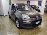 FIAT Panda 1.2 Pop 5 POSTI