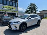 LEXUS NX 300 Hybrid Business