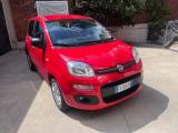 FIAT Panda 1.2 Easy unico proprietario