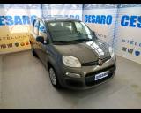 FIAT New Panda 1.0 hybrid s&s 70cv 5 posti