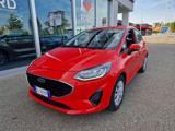 FORD Fiesta 1.1 75 CV 5 porte Plus