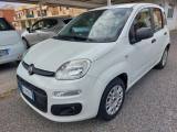 FIAT Panda 1.2 GPL Uniprò CLIMA Fatturabile