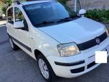 FIAT Panda 1.2 4x4 Van Active Trekking 2 p.ti