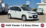 FIAT Panda 1.2 Easy CLIMA GARANZIA