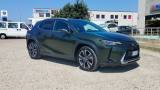 LEXUS UX 250h UX Hybrid 52.800 KM 24 MESI GARANZIA