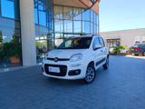 FIAT Panda 1.3 MJT 4x4 Pop Van 2 posti