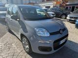 FIAT Panda 1.0 FireFly S&S Hybrid Eas 5 posti no obbligo fina