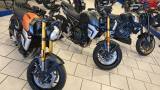SUZUKI GSX-8T NEW X8T NAKED EURO 5 +
