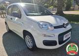 FIAT Panda 1.2 Easy UNICO PROPR.