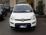 FIAT Panda MY25 - 1.0 FireFly Hybrid ICON