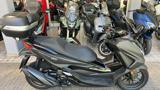 HONDA Forza 350 MY 24