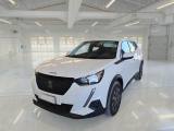 PEUGEOT 2008 BlueHDi 110 S&S Active
