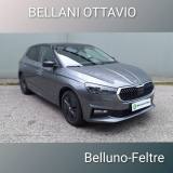 SKODA Fabia 1.0 TSI 95 CV selection