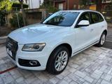 AUDI Q5 2.0 TDI 190 CV quattro S tronic Business Design