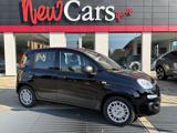 FIAT Panda 1.0 FireFly S&S Hybrid CRUISE-LANE ASSIST