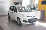 FIAT Panda 1000 HYBRID PANDA 70 CV 5 POSTI KM 0
