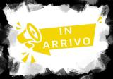 RENAULT Scenic Scénic 1.6 Limited