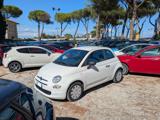 FIAT 500 CULT HYBRID 1.0cc 70cv