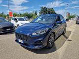 FORD Kuga 1.5 EcoBlue 120 CV 2WD ST-Line