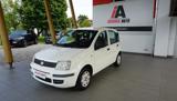 FIAT Panda 1.2 Active