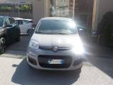 FIAT Panda 1.2 Benzina 69CV Easy