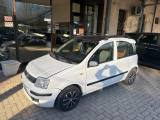 FIAT Panda 1.2 Dynamic DUALLOGIC AUTOMATICO OK NEOPATENTATO
