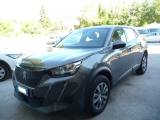PEUGEOT 2008 BlueHDi 110 S&S Active