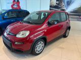 FIAT Panda 1.0 FireFly S&S Hybrid Pandina