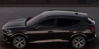 CUPRA Formentor usata, con Alzacristalli elettrici