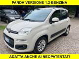 FIAT Panda 1.2 5 Posti Neopatentati