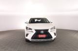 LEXUS Other NX NX Hybrid 4WD Executive