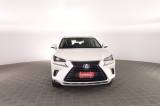 LEXUS Other NX NX Hybrid 4WD Executive