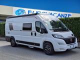 ROLLER TEAM  LIVINGSTONE DUO XL SPORT LIMITED
