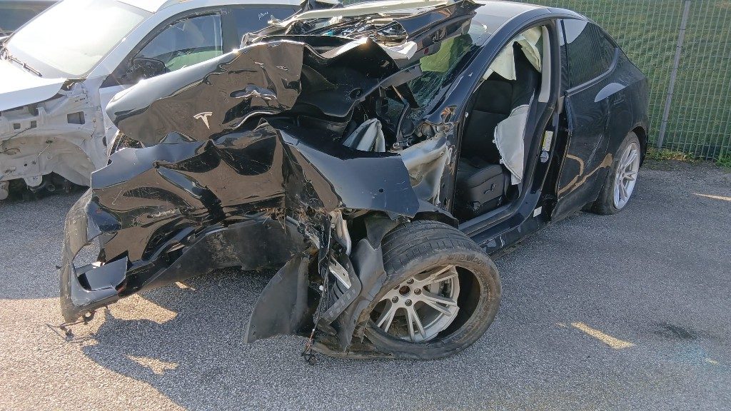 Immagine di TESLA Model Y