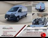 FIAT Ducato 35 3.0 CNG PLM-TM Furgone