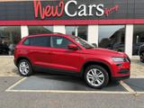 SKODA Karoq 2.0 TDI SCR 4x4 Ambition LED-TETTO-NAVI