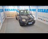 FIAT Panda 1.2 Dynamic eco
