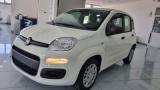 FIAT Panda 1.0 FireFly S&S Hybrid 5Posti