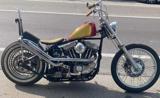 HARLEY-DAVIDSON 883 Sportster Custom chopper rigido