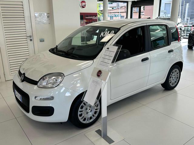 fiat panda 1.0 firefly 70cv ss hybrid km.zero