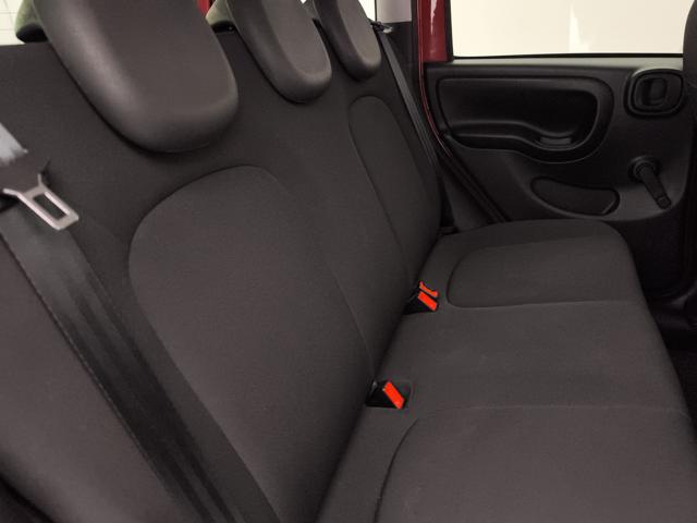 FIAT PANDA 1.0 FIREFLY HYBRID CROSS S&S 70C - foto 22