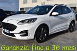 FORD Kuga 1.5 EcoBlue 120 CV aut. 2WD ST-Line