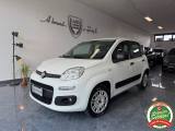 FIAT Panda 1.2 Lounge Bluetooth Usb MY 19 Unipropietario